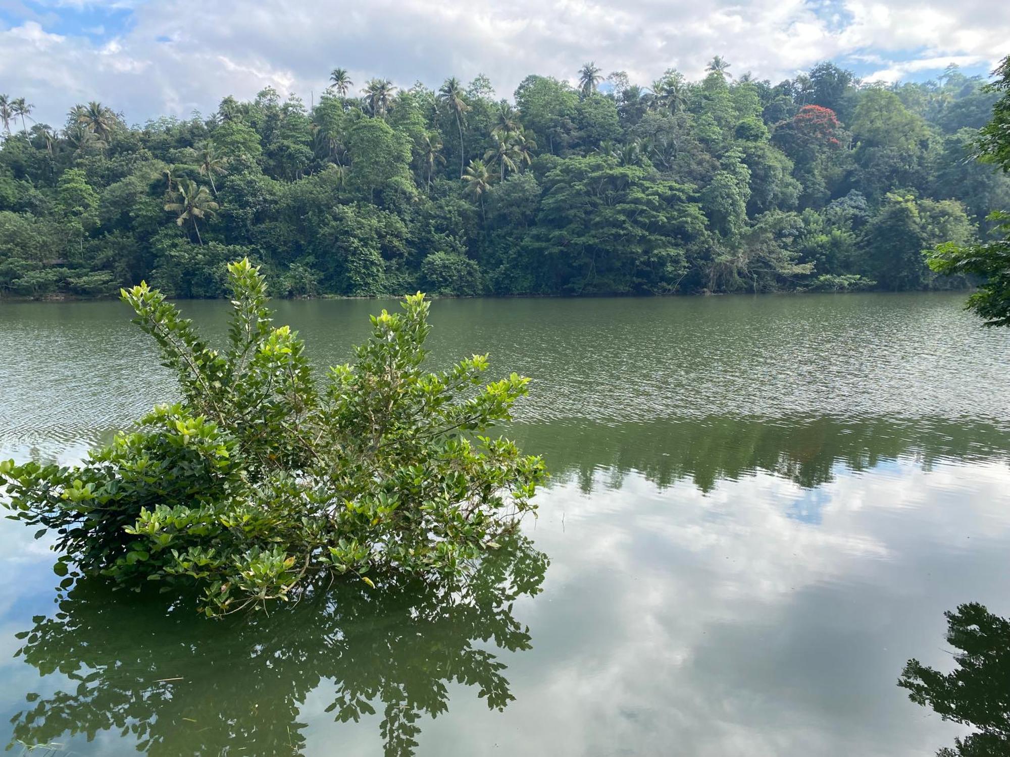 Kandy Rivers Edge Nature Resort Exterior foto